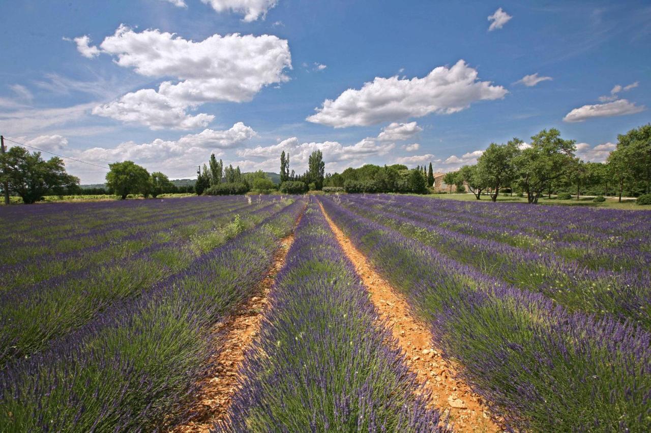 Robion en Luberon B&B Dans Mas En Pierres المظهر الخارجي الصورة